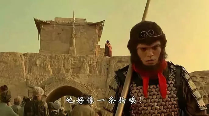 带你了解不一样的世界,带你了解不一样的明星