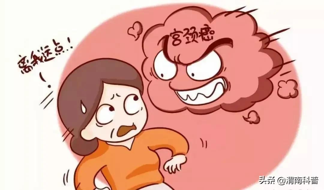 孟医生的故事,孟医生视频完整版