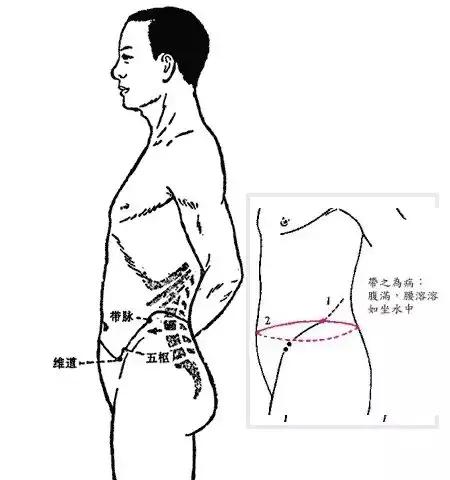 详解奇经八脉！（收藏再看）