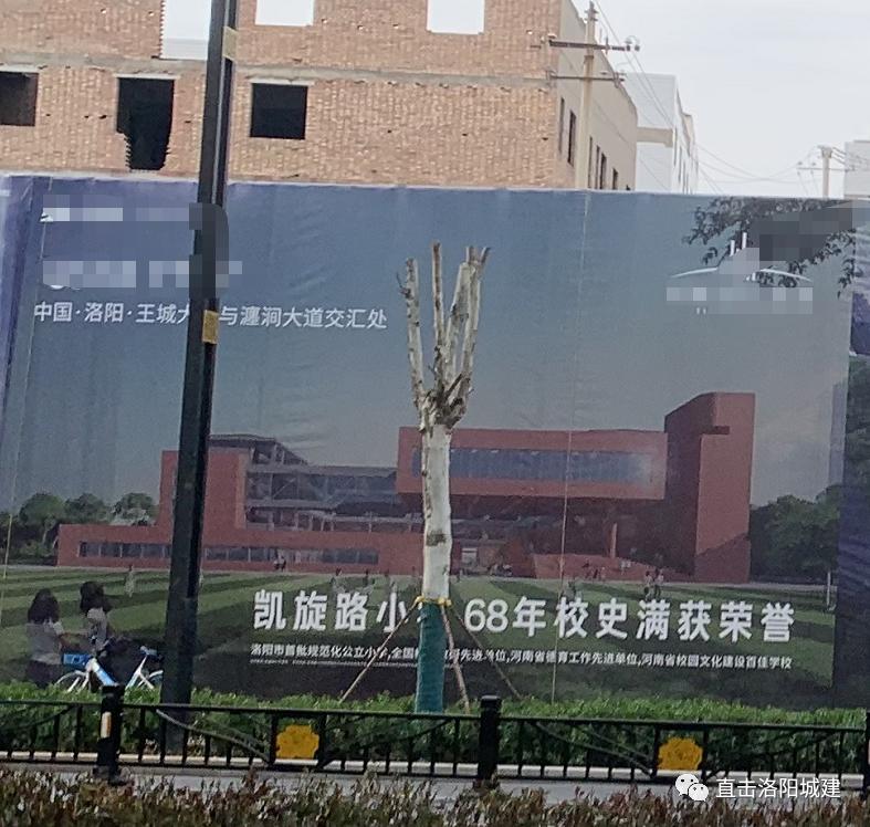 洛阳道北新建老城二小、实验中学的学区范围出炉!还有凯小