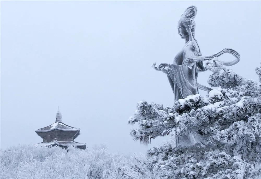 成语词典怎么查成语,最好的成语词典是什么