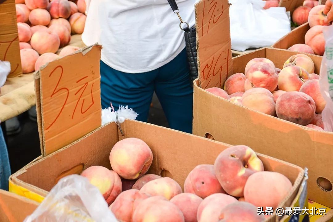 带你逛北京最大早市,北京正宗早市推荐