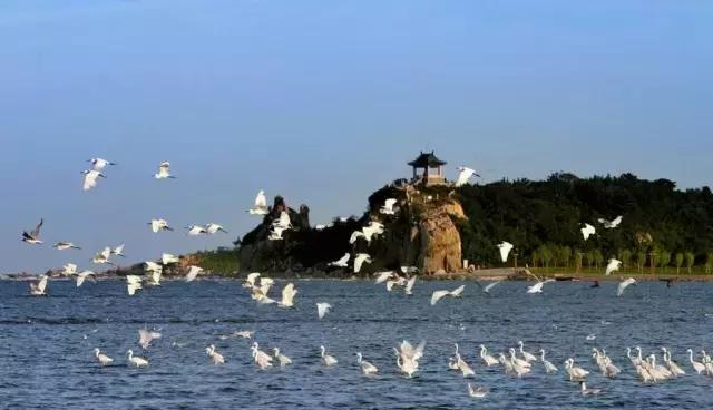 距北京最近的最美的大海在哪里,北京最美大海景点