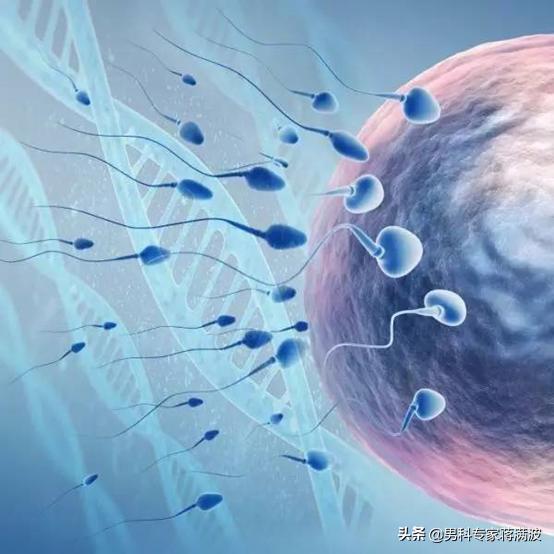 反复流产找原因,反复流产该怎么做呢