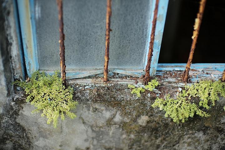 反璞归真2.0,反璞归真005