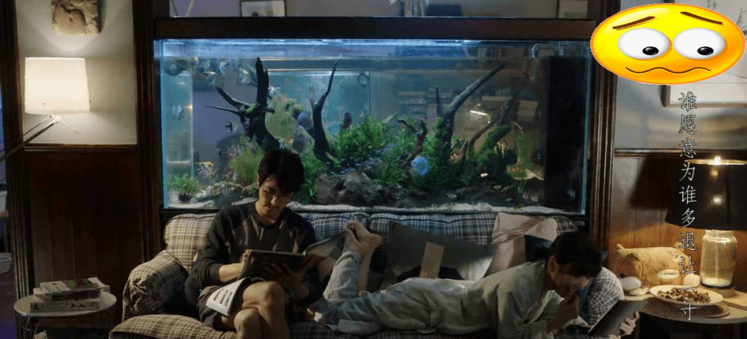 新手入门养鱼该怎么开始养鱼,想养鱼的人该怎么养鱼