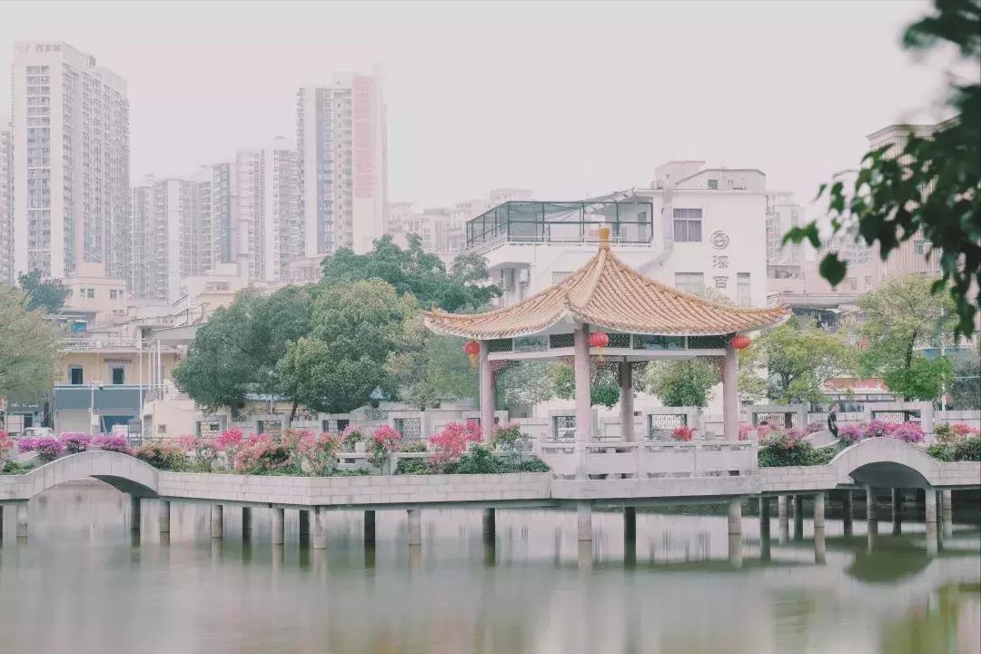 每个地方都有个沙井,好多地方叫沙井