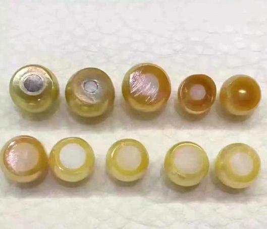 爱迪生珍珠和无核珍珠,爱迪生珍珠和天然淡水珍珠