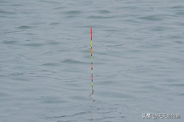 中鱼漂相详解大全,漂相怎么产生的