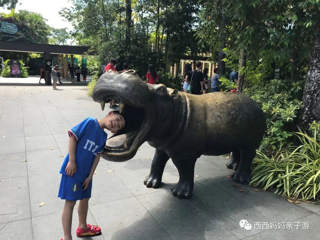 新加坡马来西亚乐高亲子游记（详细版）修改