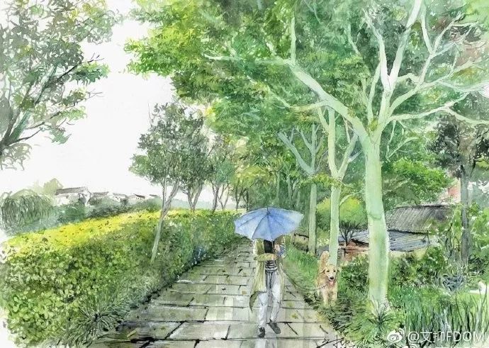 淡彩钢笔画技法,钢笔淡彩画基本知识