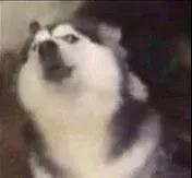 护肤攻略孕妇,孕妇精简护肤步骤视频教程