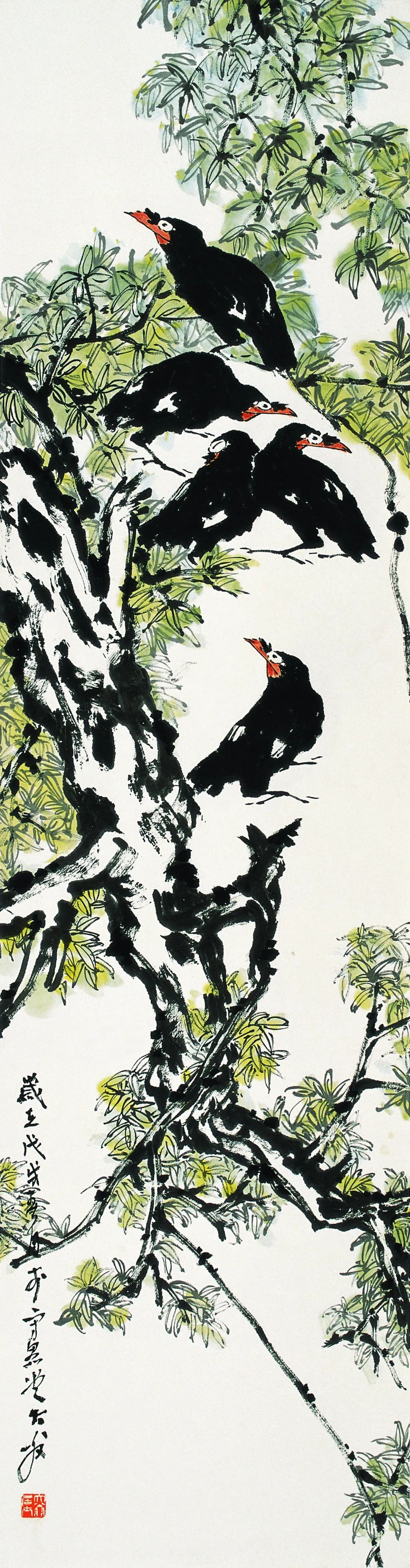 八哥第一人——没有虚传