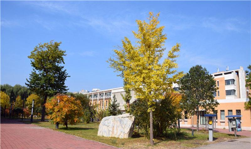 承德一中，承德市最好的中学，不就收反驳，就读的感受是怎样的体验