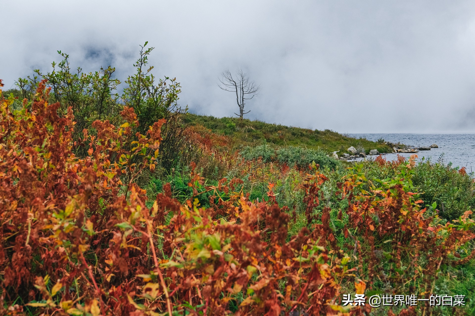 康定情歌川西旅游,318川西康定木格措