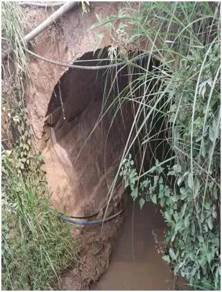 茶马古道全集版,茶马古道下集