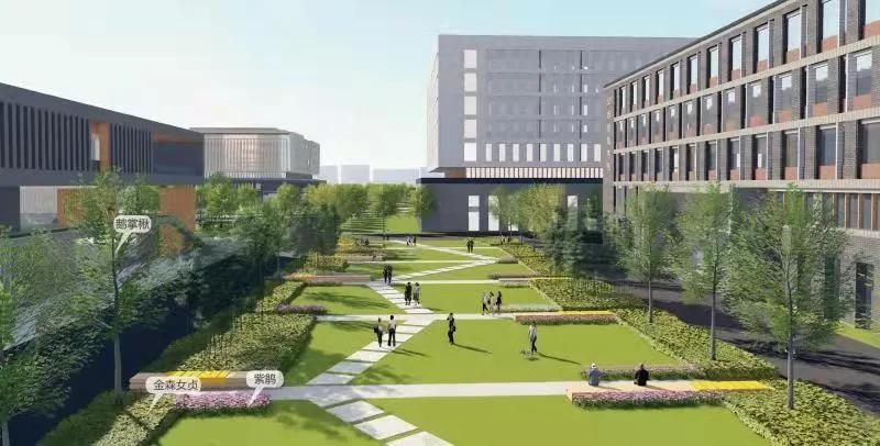 南农大江北新校区一期进展,南农大江北新校区最新进展