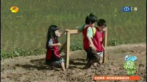 爸爸最可爱一瞬间,家有萌宝kimi和王诗龄太搞笑了