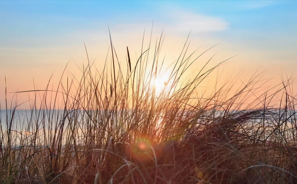 情商高的人自然有贵人相助,情商高和智商高的人有什么表现