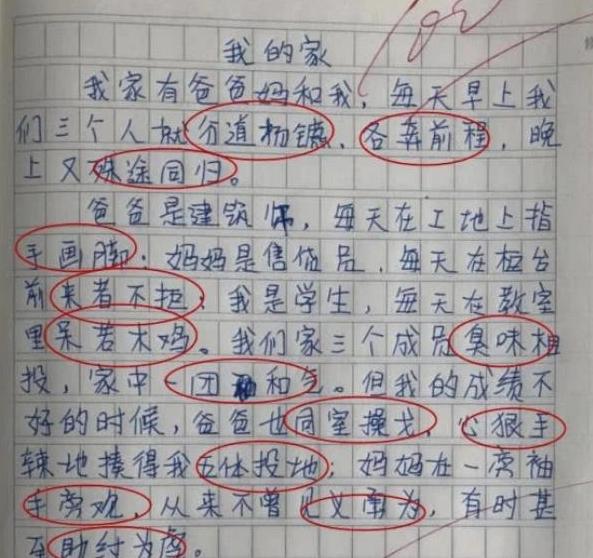 我讨厌爸爸作文,我的爸爸脾气很暴躁的作文