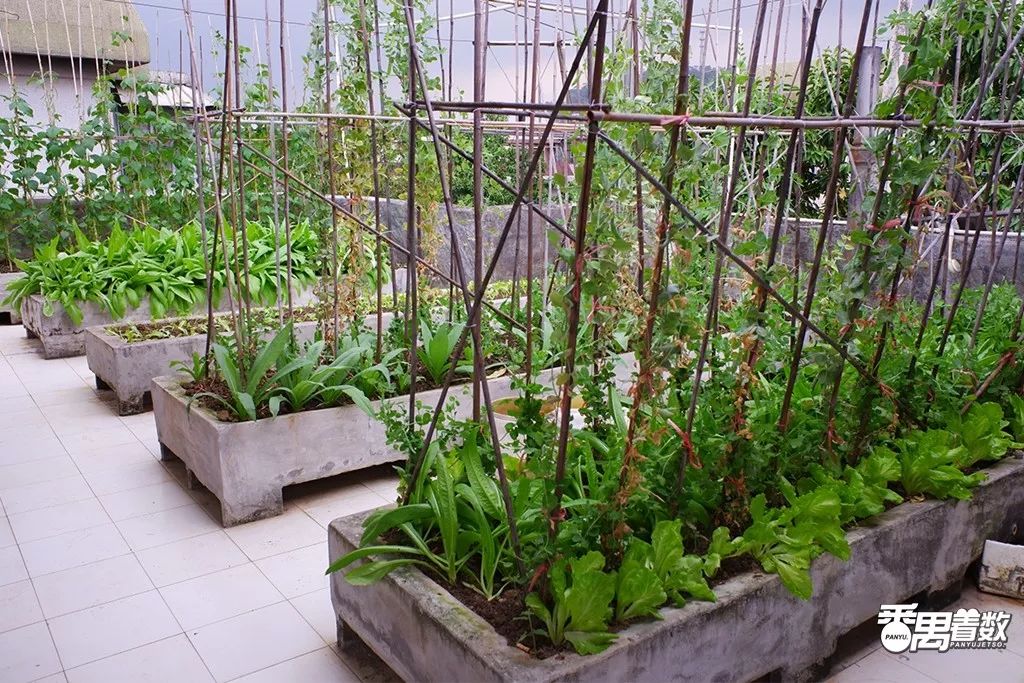 在番禺居住怎么样,在广州番禺哪里住得舒服