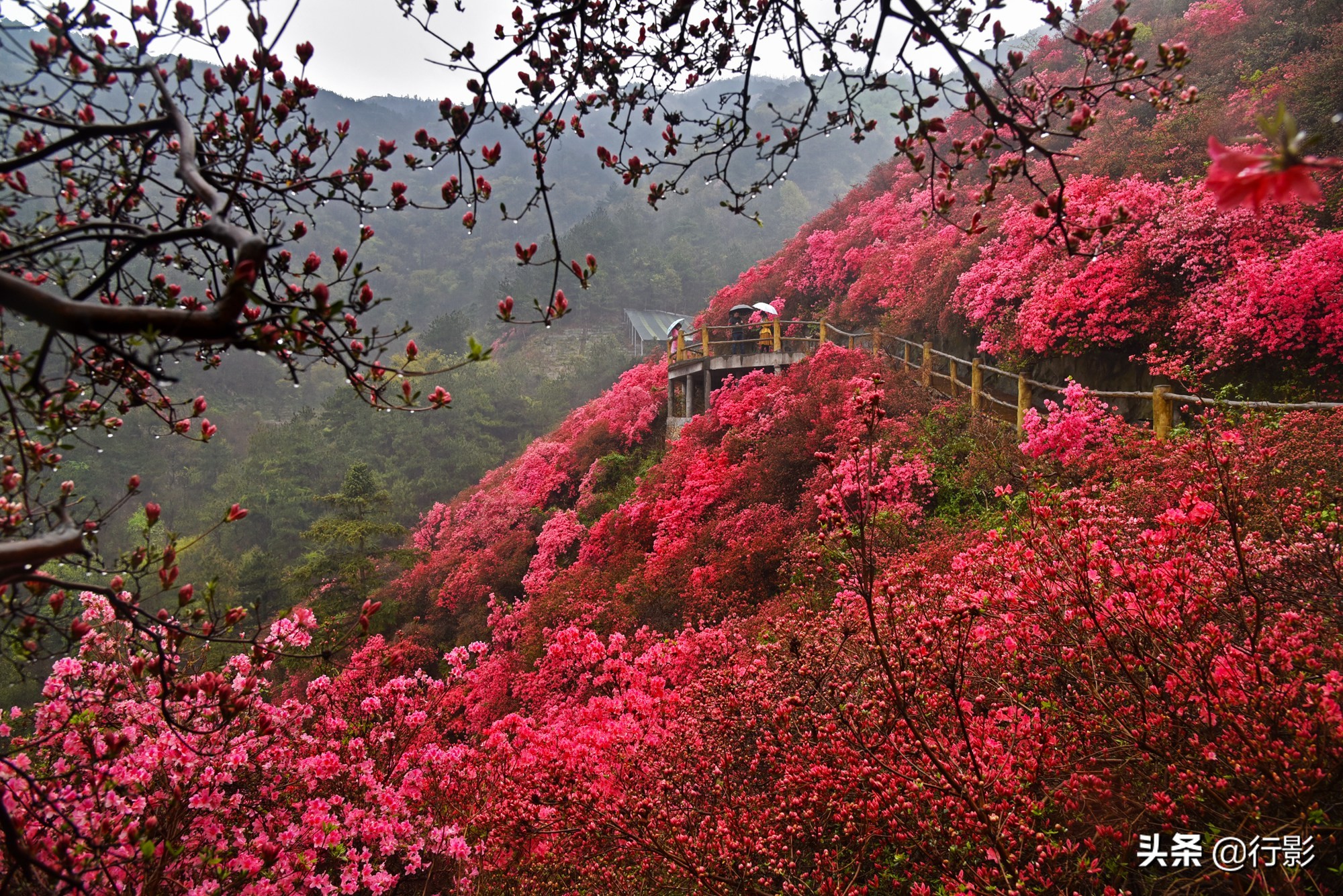 武汉云雾山风景区有什么好玩的,武汉云雾山游玩攻略