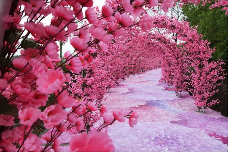 新春打卡重庆香水百合网红艺术节，坐小火车、玩玻璃滑道...