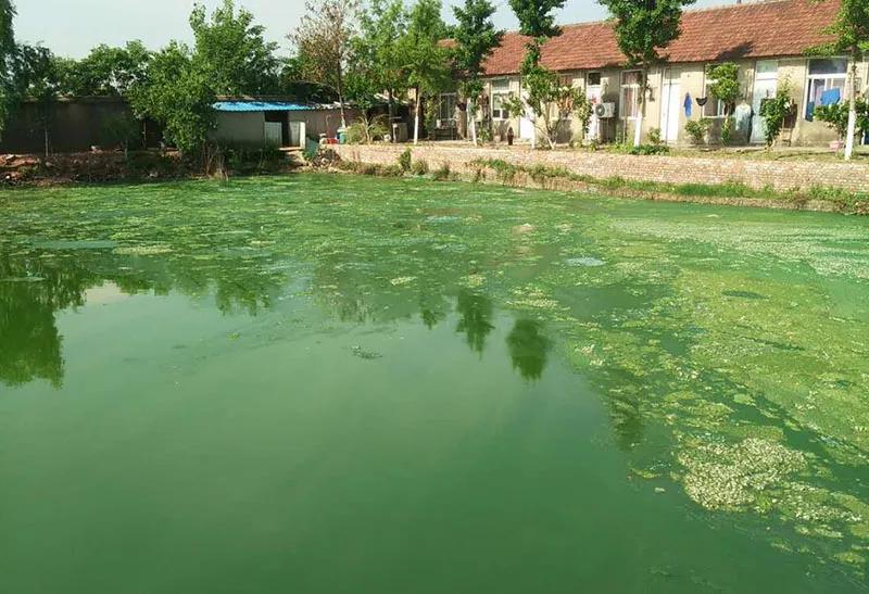 防控蓝藻最佳方案,蓝藻防控方法