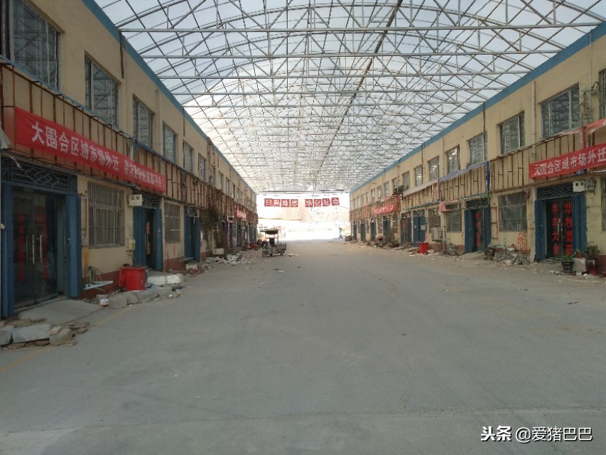 郑州市兽药批发市场哪个最大,全国最大兽药饲料批发市场