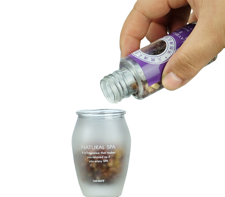 汽车中毒是怎么回事,汽车中毒什么意思