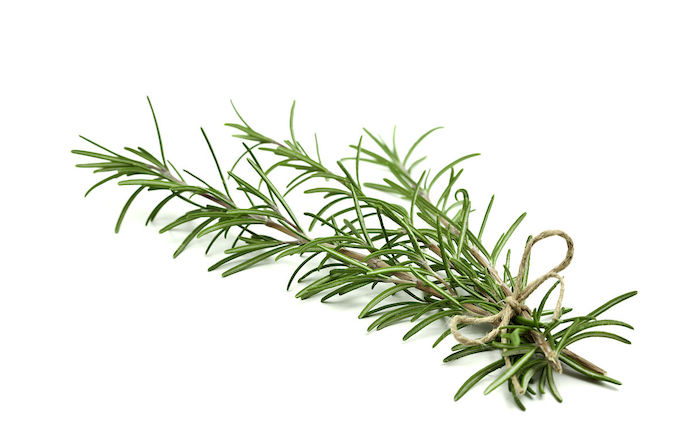 八种身兼多职的鲜花，既是鲜花又是香料！