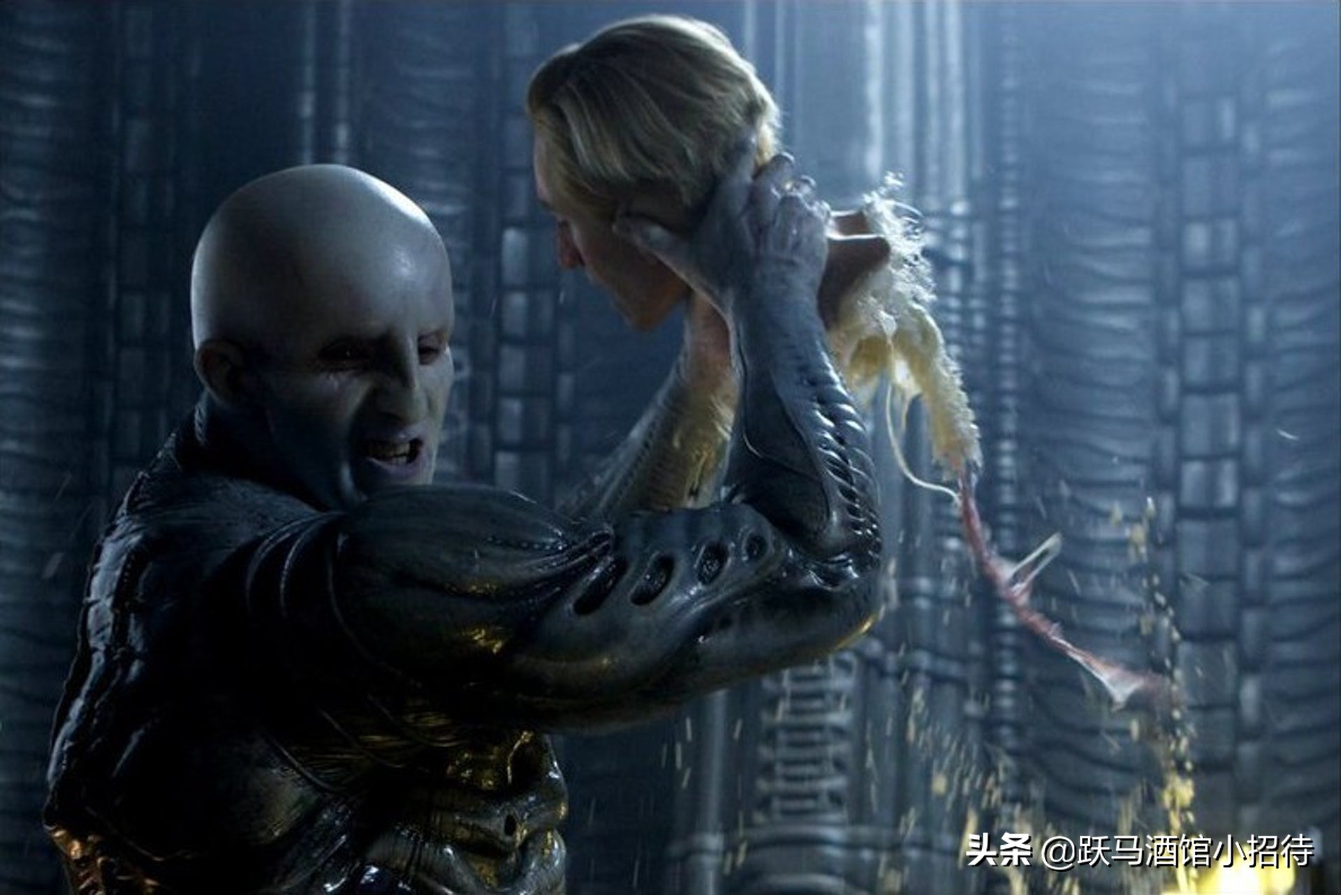 异形契约之后应该看什么,异形契约剧情跟着第一部吗