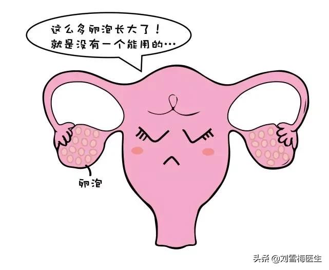 怎么可以取得卵子,如何获得卵子