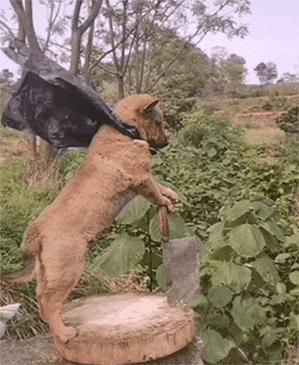 上厕所没有厕纸只能用绳子,上厕所没有卫生纸能用吗