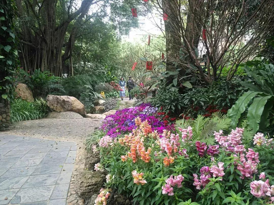 天津春天踏青好地方,天津武清踏青好去处