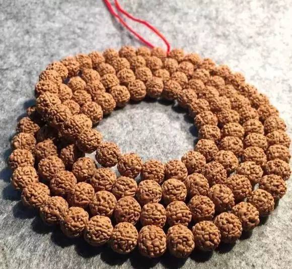 小金刚菩提鉴定视频,小金刚菩提的真假鉴别