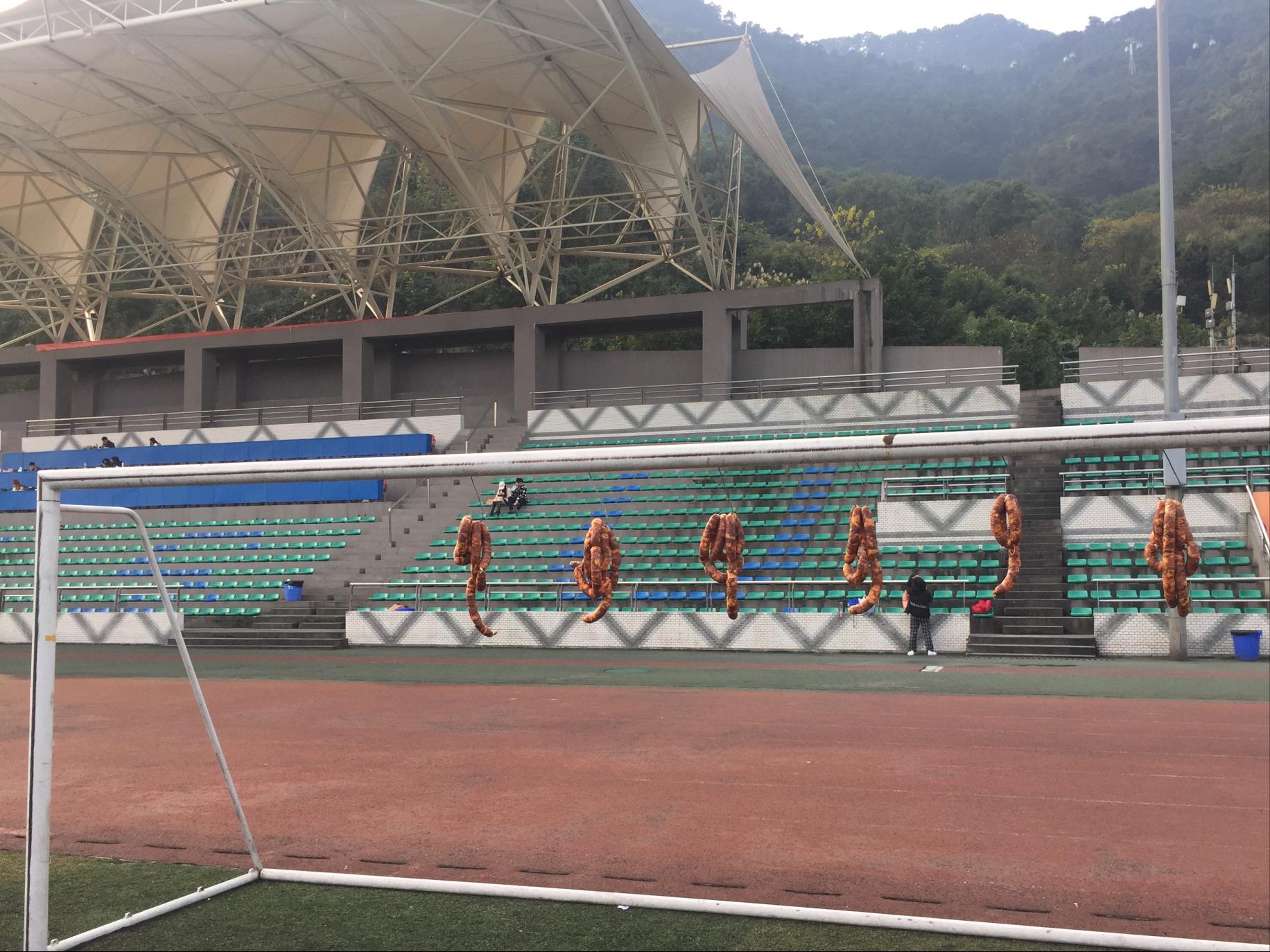 四川外国语大学英语学院就业率,四川外国语大学优势专业