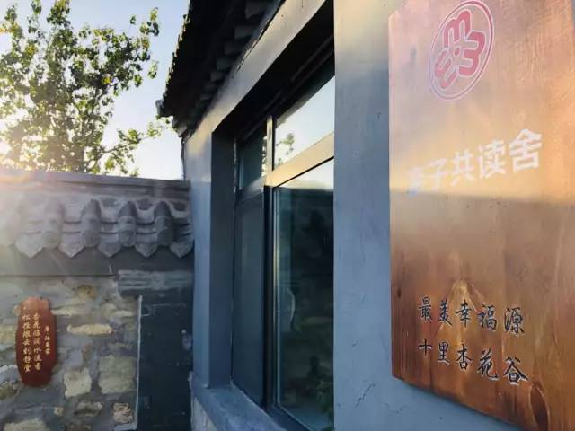 十里杏花谷里,藏着深秋的诗情画意