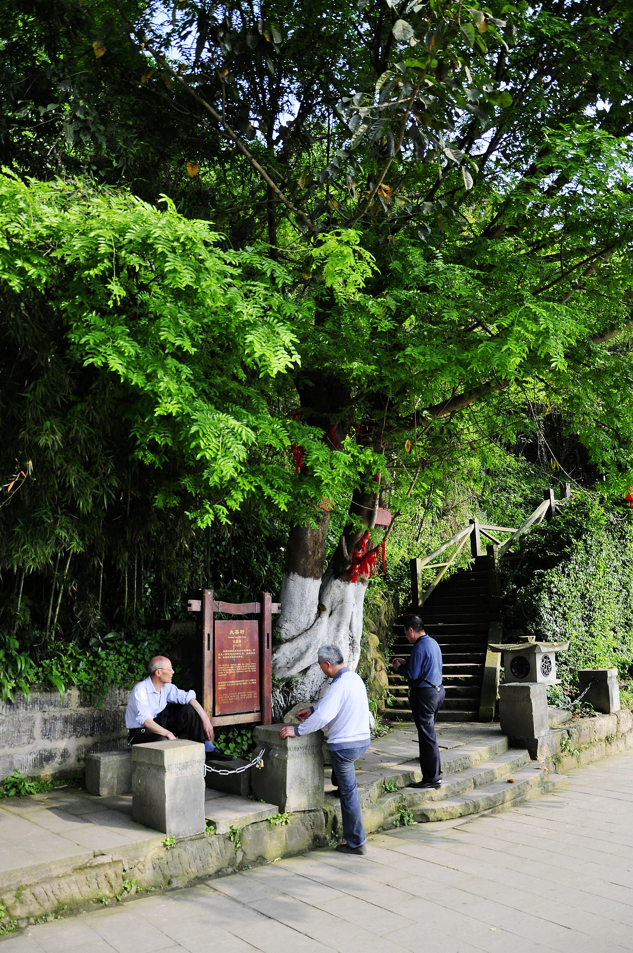 凤求凰卓文君完整视频,凤求凰卓文君古诗文