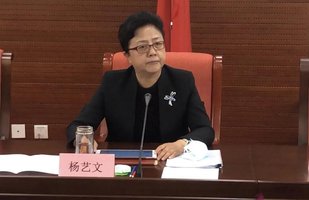 中医药文化海外传播,海外中医药发展研讨会