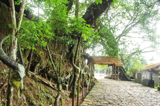 沧源原始部落图,沧源翁丁原始部落的历史讲解