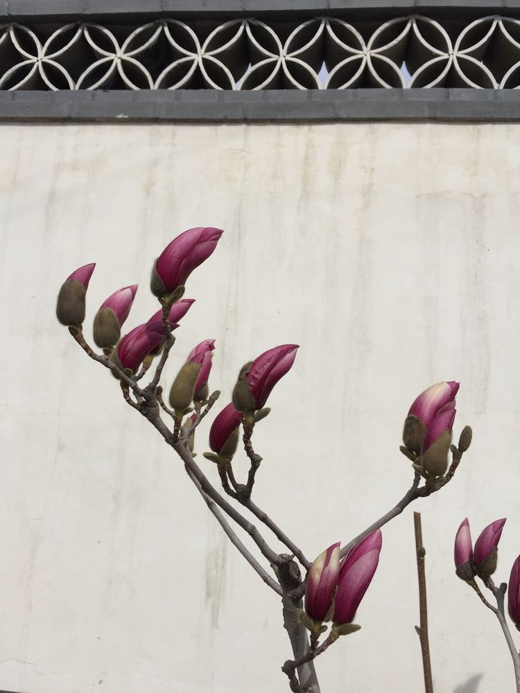 遵化市官房村,河北遵化文化遗址