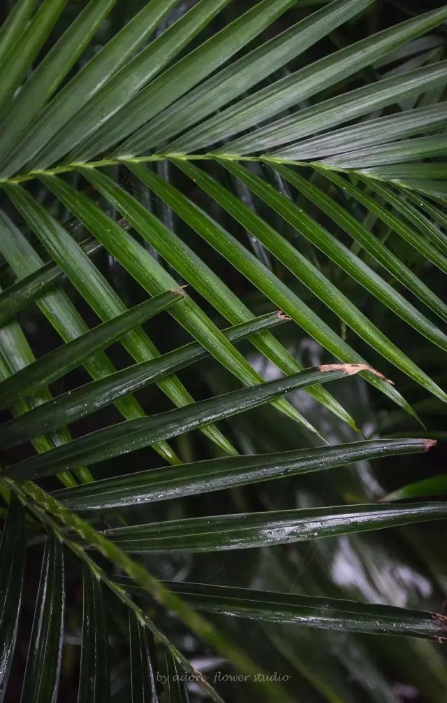 深山老林自建豪华木屋隐居生活,90后小情侣隐居深山建别墅仅花6万