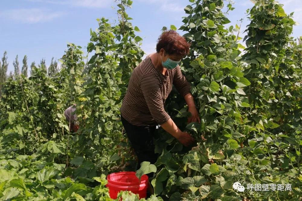 走向我们的小康生活了吗,走向我们的小康生活图片