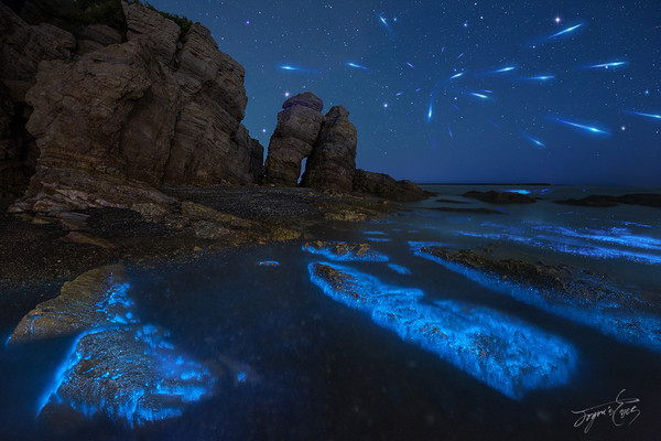 拍摄荧光海滩参数和技巧,夜晚怎么拍荧光海