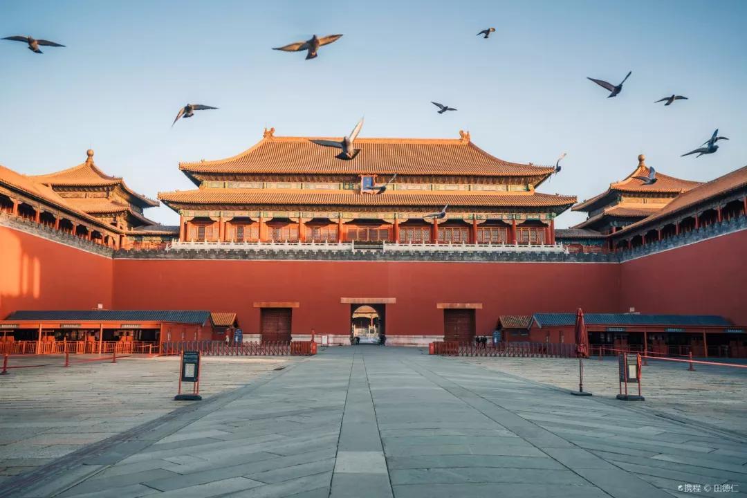 戏精博物馆文物,博物馆戏精文物