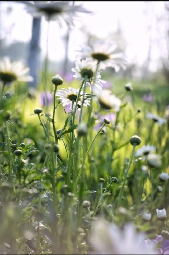 如何对付单位里想干掉你的人,怎么对付单位上狡猾的人