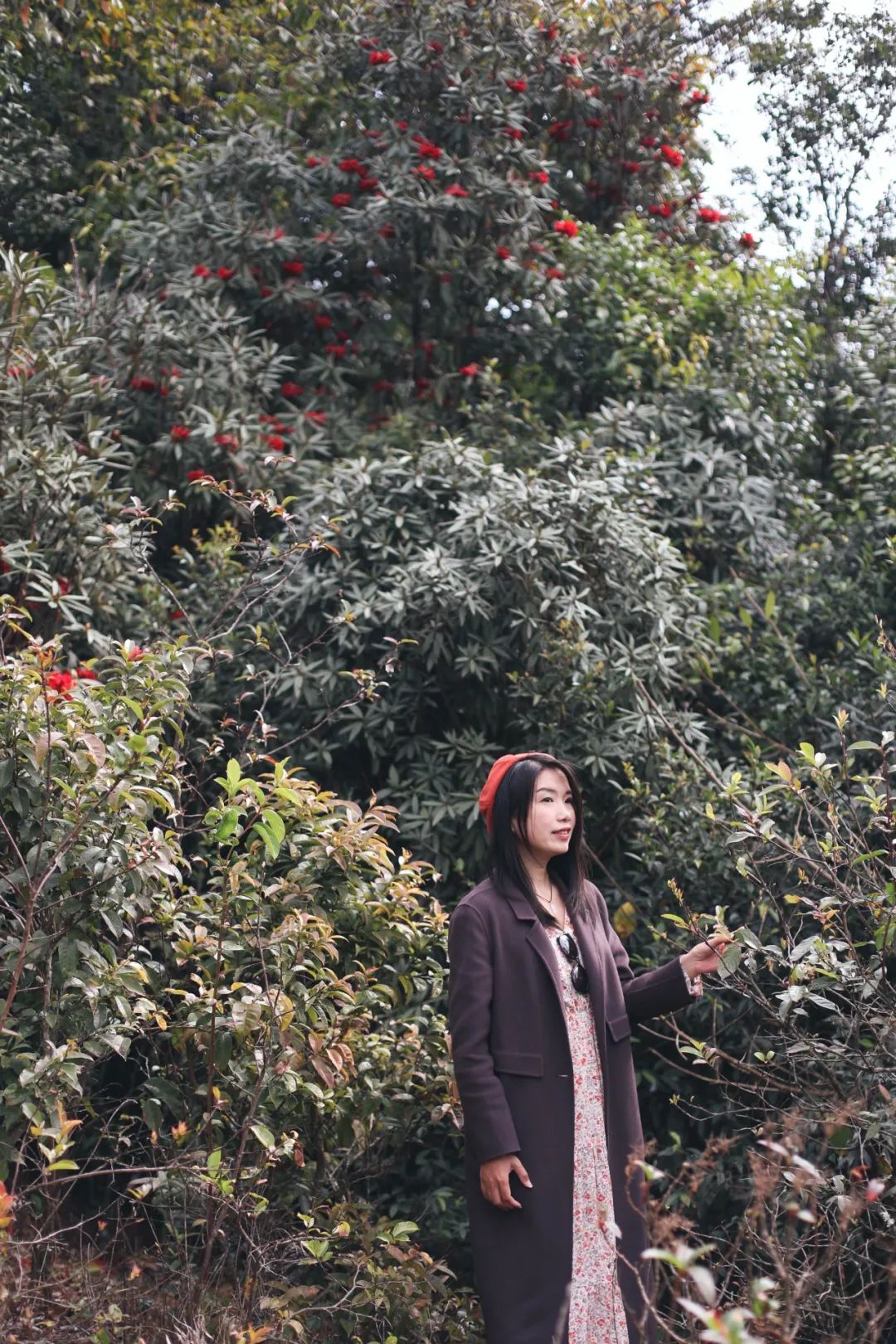 苏州去腾冲旅游攻略,苏州到腾冲旅行攻略