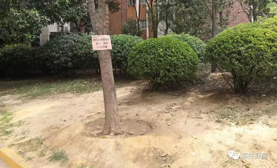 托斯卡纳乡下房子,托斯卡纳在哪个社区