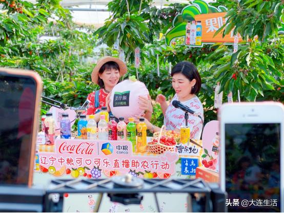 中粮可口可乐黑龙江直播间,中粮可口可乐辽宁直播